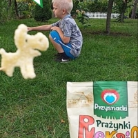 Reksio i Tomek