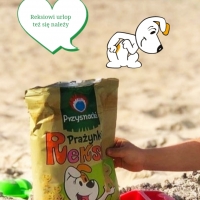 Reksio na wakacjach