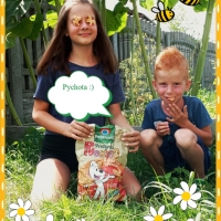 Przysnackowo łąkowo :)