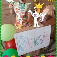Reksio w moim domu 