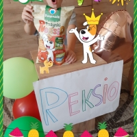 Reksio w moim domu