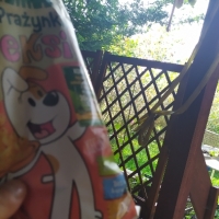 Dzialkujemy 
