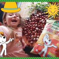 Laura, Reksio i kasztany!